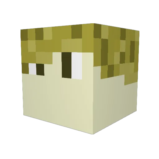 Lavonicus Minecraft avatar head, 3D render