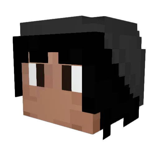 Law0 Minecraft avatar head, 3D render