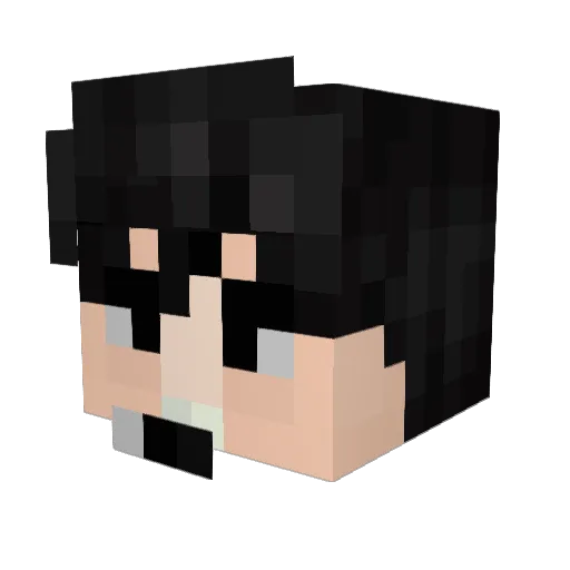 Law Minecraft avatar head, 3D render