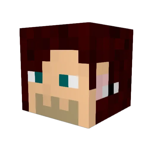 LawOfThePack Minecraft avatar head, 3D render