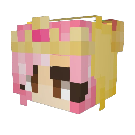 LawSum Minecraft avatar head, 3D render