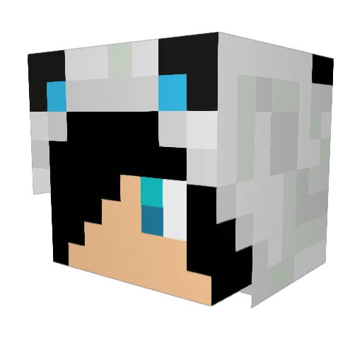 Law_TM Minecraft avatar head, 3D render