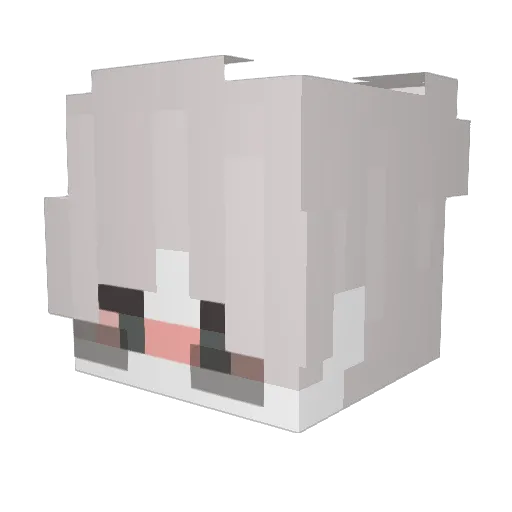 Law_w Minecraft avatar head, 3D render