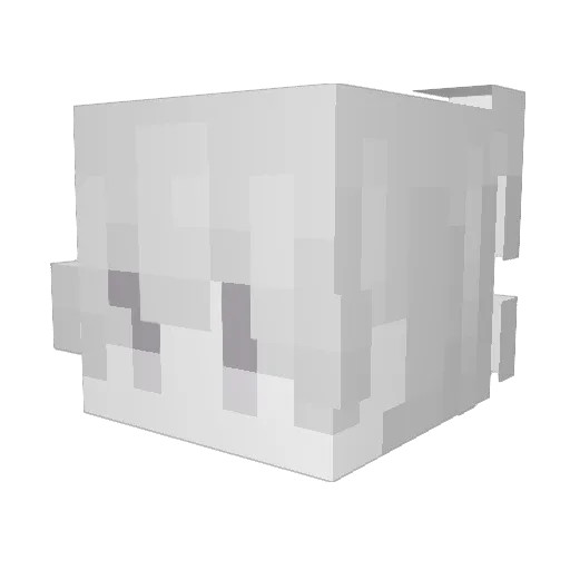 Lawb Minecraft avatar head, 3D render