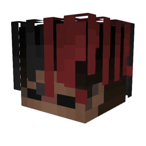 LawerYT Minecraft avatar head, 3D render