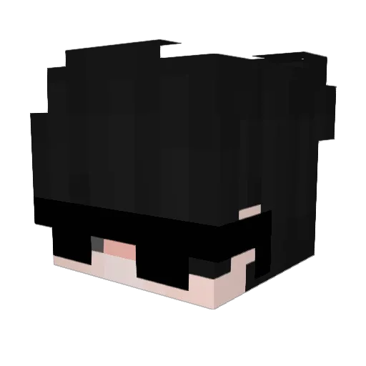 LawfulDig529767 Minecraft avatar head, 3D render