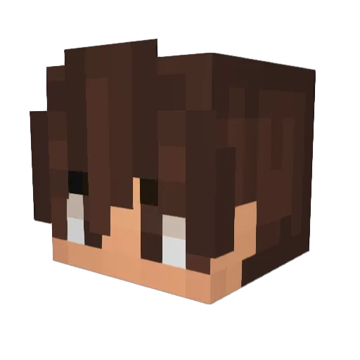 Minecraft-Avatar von Lawitch: Kopf als 3D-Render