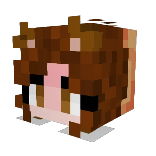 Lawrees Minecraft avatar head, 3D render