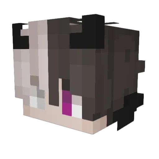 Lawriett Minecraft avatar head, 3D render