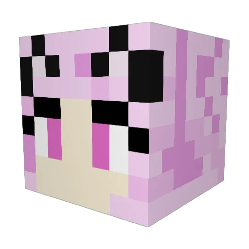 Lawschool888 Minecraft avatar head, 3D render