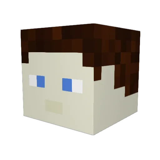 Lawson13510 Minecraft avatar head, 3D render