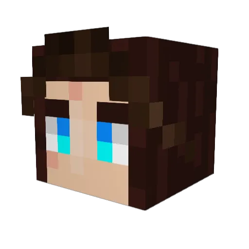 Lawsons2 Minecraft avatar head, 3D render