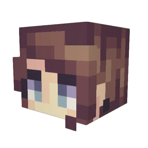 Lawzer20 Minecraft avatar head, 3D render