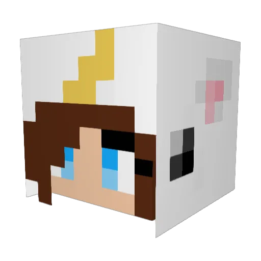 LaxOnFIRE Minecraft avatar head, 3D render