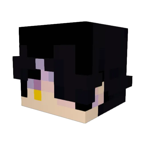 Laxonus Minecraft avatar head, 3D render