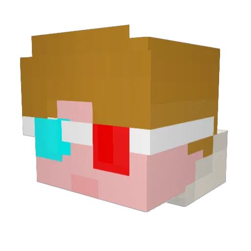 Laxup_ Minecraft avatar head, 3D render