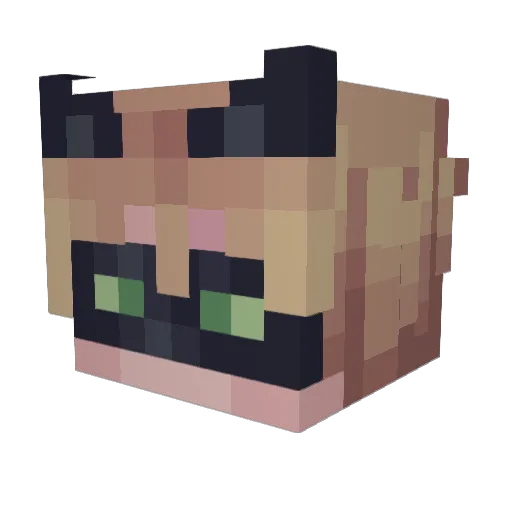 LayALAD Minecraft avatar head, 3D render