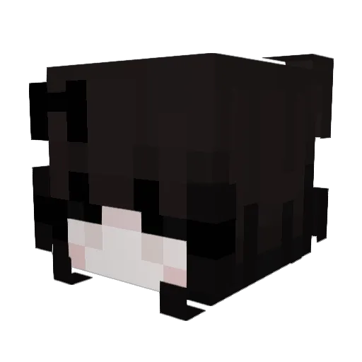 Layla_s2 Minecraft avatar head, 3D render