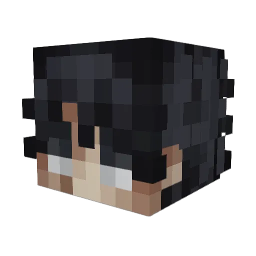 Layloww071 Minecraft avatar head, 3D render