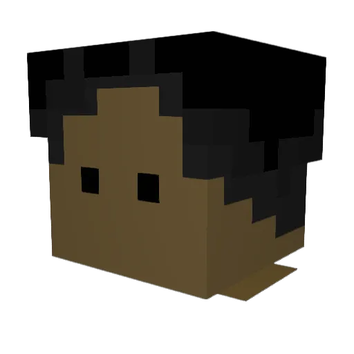 Laymyer Minecraft avatar head, 3D render
