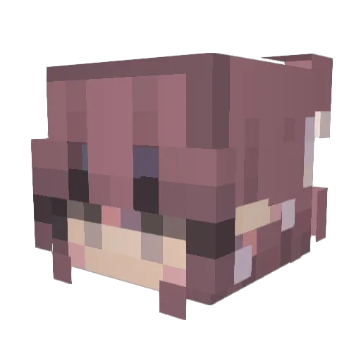 Layn_E Minecraft avatar head, 3D render