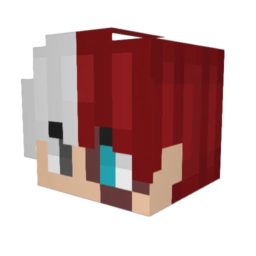 Layne197 Minecraft avatar head, 3D render