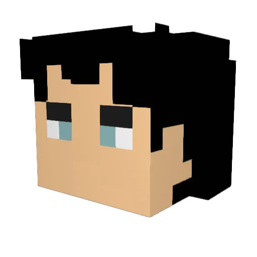 Layne67 Minecraft avatar head, 3D render
