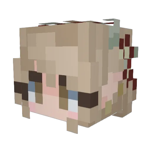 LaysChips5082 Minecraft avatar head, 3D render