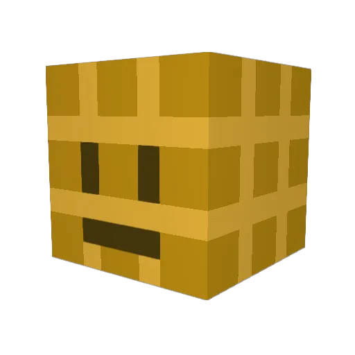 LaysWasntHere Minecraft avatar head, 3D render