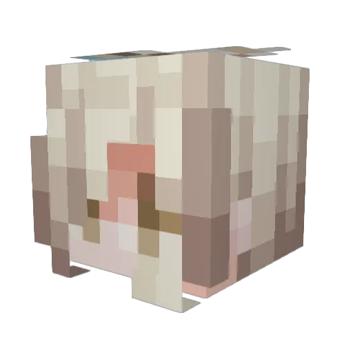 Laytonk3175 Minecraft avatar head, 3D render