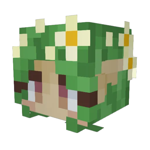 LayzeeSoul Minecraft avatar head, 3D render