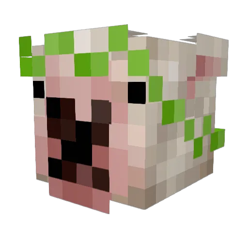 Lazariee Minecraft avatar head, 3D render