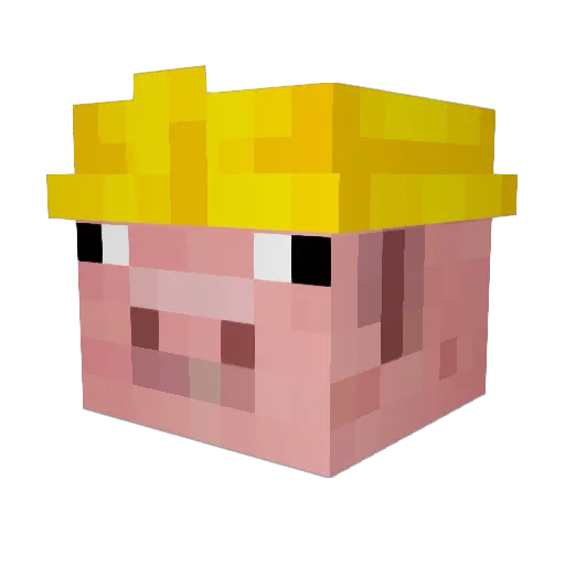 Lazarus2308 Minecraft avatar head, 3D render