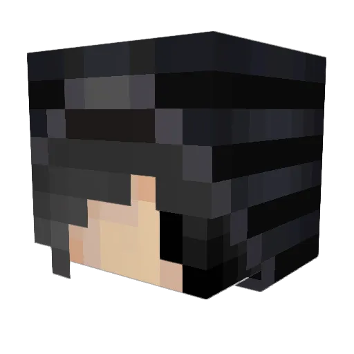 LazerHawk Minecraft avatar head, 3D render