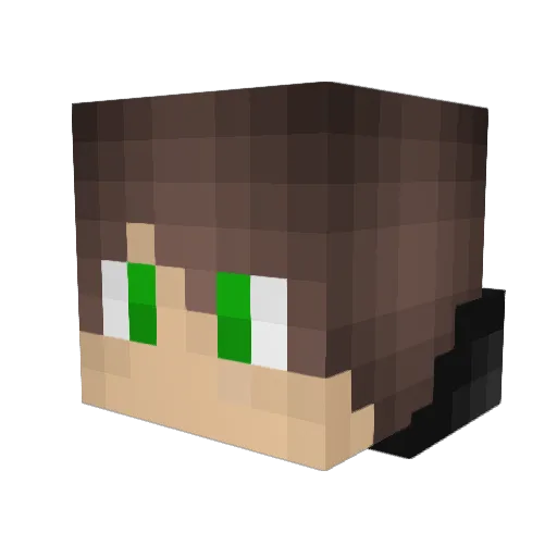 LazerTurtle Minecraft avatar head, 3D render