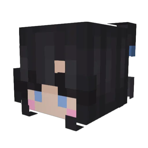 Laziest_Log Minecraft avatar head, 3D render