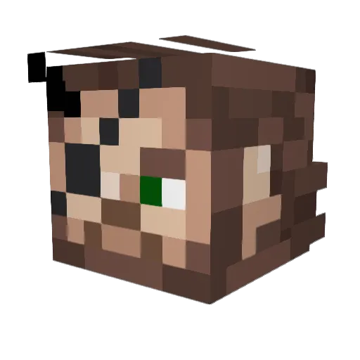 LazorBeach Minecraft avatar head, 3D render