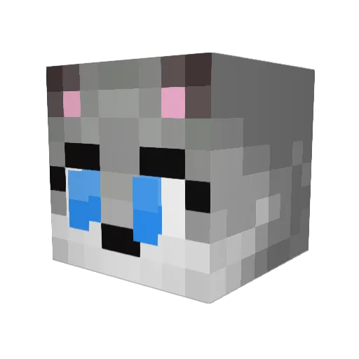 Lazorah Minecraft avatar head, 3D render