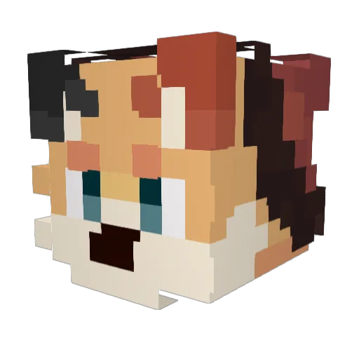 LazyK_ Minecraft avatar head, 3D render