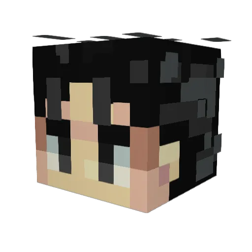 LazyL1ama Minecraft avatar head, 3D render