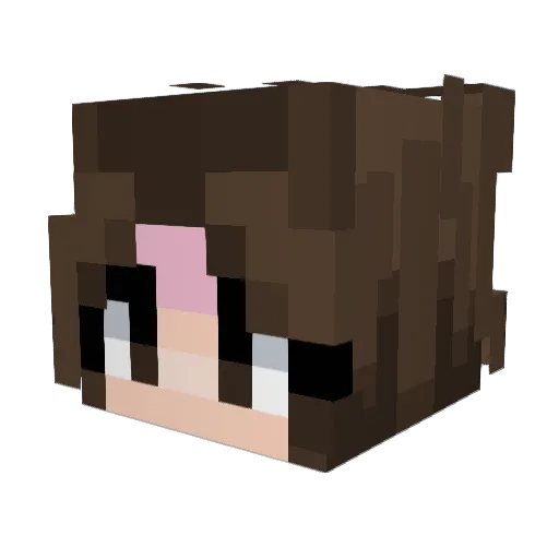 LazyTray Minecraft avatar head, 3D render