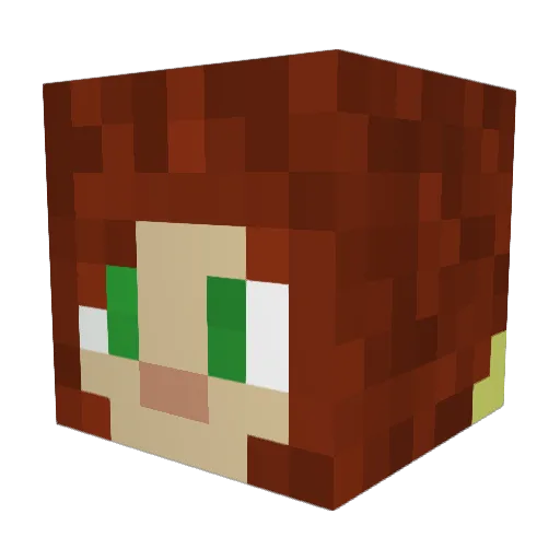 LazyTurtle12997 Minecraft avatar head, 3D render