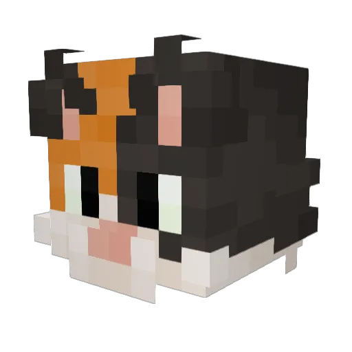 LazyYuma Minecraft avatar head, 3D render