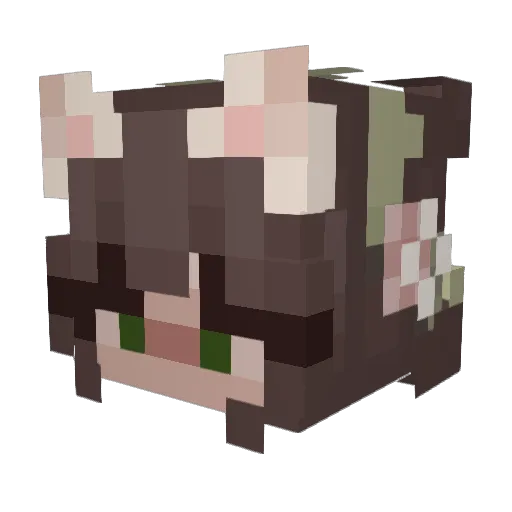 Lazy_1234 Minecraft avatar head, 3D render