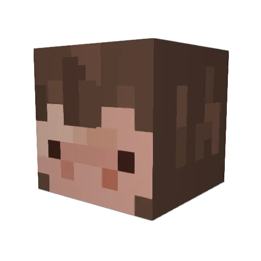 Lazy_Char Minecraft avatar head, 3D render