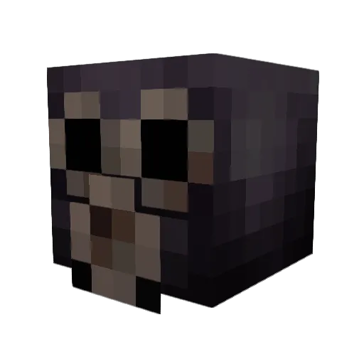 Lazy_lizard Minecraft avatar head, 3D render