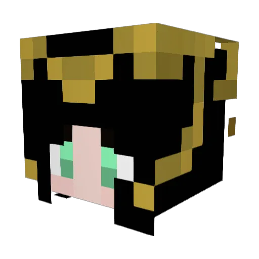 Lazybree Minecraft avatar head, 3D render