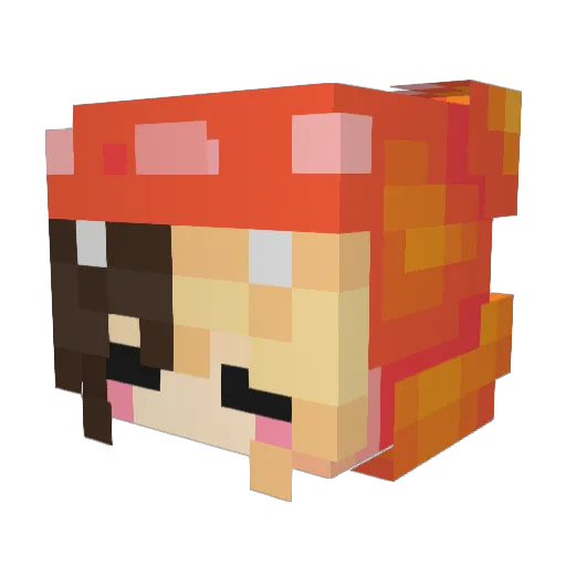 Lazyinator Minecraft avatar head, 3D render
