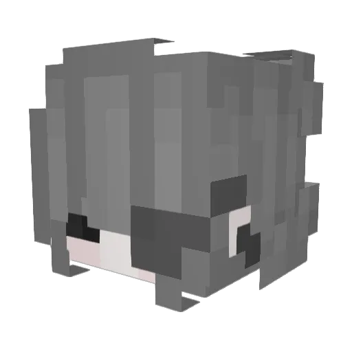 Lazytan Minecraft avatar head, 3D render
