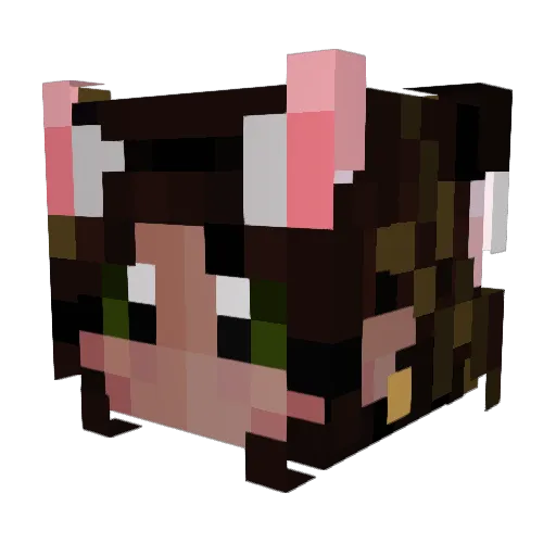 Lazytoe Minecraft avatar head, 3D render